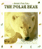 The Polar Bear, Master of the Ice: Animal Close Ups