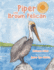 Piper the Brown Pelican (Wildlife)