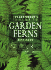 Garden Ferns (Plantfinder's Guide to Growing Series)
