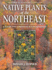 Native Plants of the Northeast-Hc Format: Hardcover