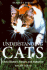 Understanding Cats