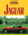 Jaguar: Tale of the Cat (Cool Classics)