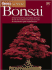 All About Bonsai