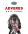 Grammar Basics: Adverbs