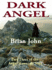 Dark Angel ( Vol 3 of the Angel Mountain Saga) (Angel Mountain Saga)