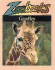 Giraffes (Zoobooks Series)