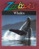 Whales (Zoobooks Series)