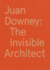 Juan Downey: the Invisible Architect