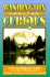 Washington for the Curious