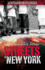 Streets of New York: Vol 1