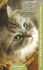 How to Take Care of Your Cat or Kitten