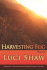 Harvesting Fog