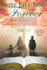 Seize Life Now and Forever: the Breakthrough to Understanding 1, 2, and 3 John