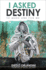 I Asked Destiny to Make One for Me