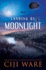 Landing By Moonlight: a Novel of Ww II