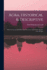 Agra, Historical & Descriptive: With An Account Of Akbar And His Court And Of The Modern City Of Agra
