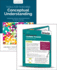 Bundle: Stern: Tools for Teaching Conceptual Understanding, Secondary + Stern: on-Your-Feet Guide to Learning Transfer (on-Your-Feet-Guides)