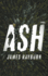 Ash: a Novel