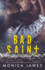 Bad Saint: All The Pretty Things Trilogy Volume 1