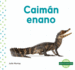 Caimn Enano (Dwarf Caiman)