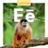 E?