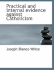 Practical and Internal Evidence Against Catholicism