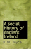 A Social History of Ancient Ireland