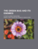 The Green Bug and Its Enemies: a Study in Insect Parasitism