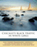 Chicago's Black Traffic in White Girls