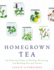 Homegrown Tea: an Illustrated Guide to Planting, Harvesting, and Blending Teas and Tisanes