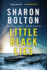 Little Black Lies: a Novel