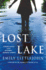 Lost Lake: a Detective Gemma Monroe Mystery (Detective Gemma Monroe Novels, 3)