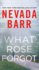 What Rose Forgot: a Novel