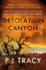 Desolation Canyon: a Mystery: 2 (the Detective Margaret Nolan Series)