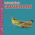 Fast Facts About Grasshoppers (Fast Facts About Insects and Spiders)