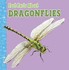 Fast Facts About Dragonflies (Fast Facts About Insects and Spiders)