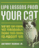 Life Lessons From Your Cat: We'Re So Vain, We Probably Think This Book is About Us