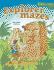 Explorer Mazes (Maze Craze Book)