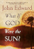 What If God Were the Sun? : a Novel