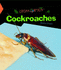 Cockroaches (Gross Bugs)