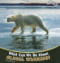 What Can We Do About Global Warming? (Protecting Our Planet)