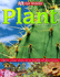 Plant (Eye Wonder)