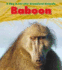 Baboon (a Day in the Life: Grassland Animals)