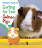 Gordons Guide to Caring for Your Guinea Pigs (Pets' Guides)