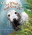 See What a Seal Can Do (Nature Storybooks)