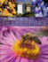 Guide to Beekeeping