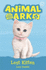 Lost Kitten: Book 9 (Animal Ark)