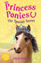 Princess Ponies 3: the Special Secret