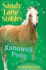 Runaway Pony (Sandy Lane Stables)