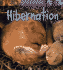 Hibernation (Nature's Patterns)